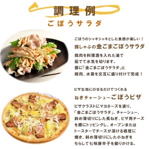 サラダのプロがつくった サラダ 2種類 セット 20袋 個包装 ポテトサラダ ごぼうサラダ