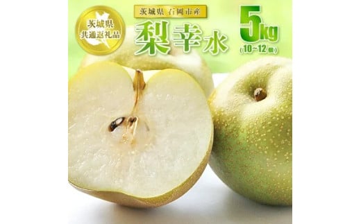 【先行予約】幸水 5kg 10～12個【茨城県共通返礼品 石岡市】※2025年8月～8月下旬頃に順次発送予定