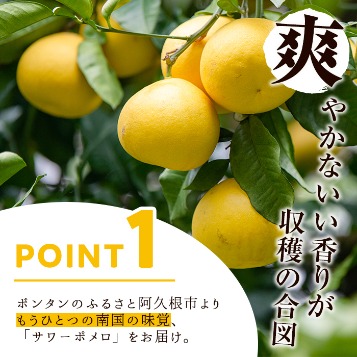 ＜先行予約受付中！2026年2月下旬以降発送予定＞＜訳あり・傷あり＞数量限定！サワーポメロ(約7kg) 国産 フルーツ 果物 柑橘類 サワーポメロ 甘味 酸味 デザート おやつ 訳あり【なかむら果樹園