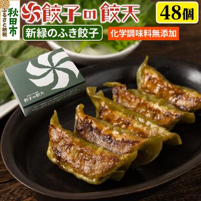 ふるさと納税 秋田市 【新緑のふき餃子48個詰合せ】餃子の餃天|15_ggt-114801