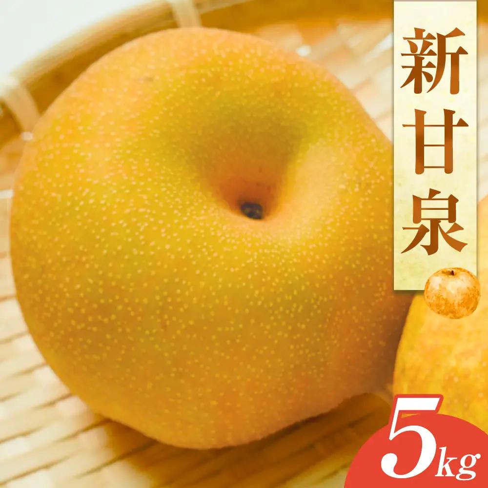 梨 新甘泉 5kg JA ※2026年8月中旬～9月上旬頃に順次発送予定 |梨