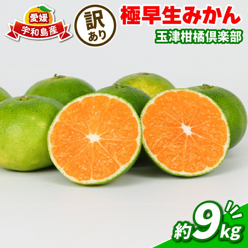 【ふるさと納税】 みかん 訳あり 極早生みかん 9kg 先行予約 玉津柑橘倶楽部 ミカン 温州みかん 温州 甘い 糖度 さっぱり 爽やか 果物 くだもの フルーツ 柑橘 蜜柑 愛媛蜜柑 愛媛みかん わけあり 訳あり品 サイズ 不揃い 産地直送 数量限定 国産 愛媛 宇和島 B010-072029