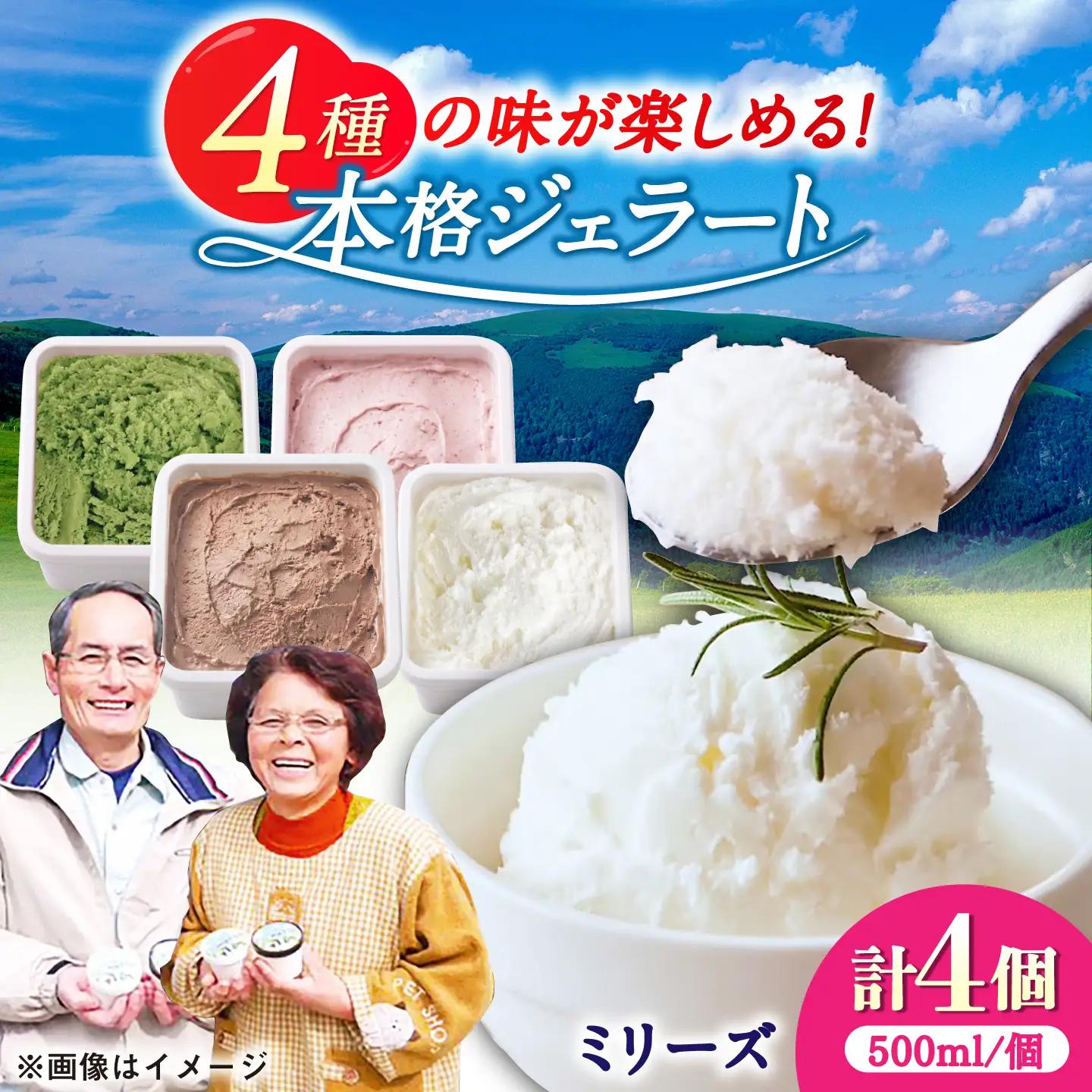 本格ジェラート ファミリーセット 500ml×4個 / ジェラート アイス アイスクリーム ギフト 贈答 / 佐賀県 / 松本アイス工房[41AOAA004]