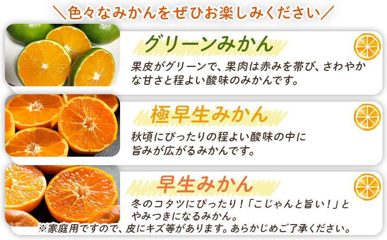 【みかん定期便 4回】土佐乃かなやの家庭用みかん10kg(Lサイズ)×4回 合計40kg - 定期便 数量 国産 早生みかん 極早生みかん グリーンみかん 蜜柑 ミカン 柑橘 果物 くだもの フルーツ
