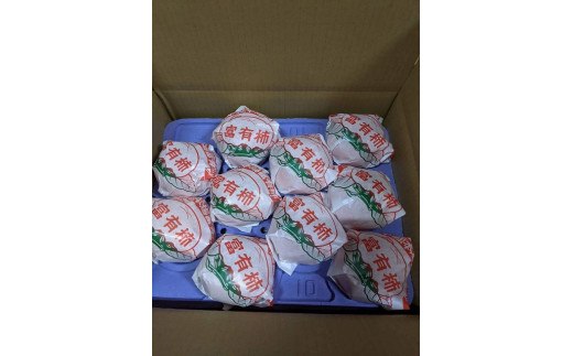 贈答用富有柿 3Lサイズ10個 約3.3kg 発祥の地岐阜県瑞穂市産