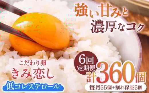 【6回定期便】きみ恋し 箱入り 60個（55個+割れ保証5個）×6ヶ月 総計360個 たまご 卵 玉子 タマゴ 鶏卵 濃厚 玉子焼き 卵焼き オムレツ たまごかけご飯 冷蔵 広川町 / 伊藤養鶏場 [AFAJ010]
