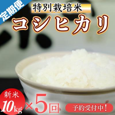 ふるさと納税 三原村 新米先行受付!令和8年産(精白米)　特別栽培米　こしひかり10kg×5袋