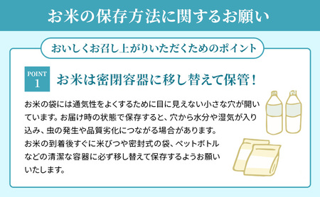 お米 みずかがみ 10kg 無洗米 特A 令和7年産 お米