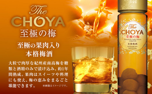 The CHOYA BLACK 700ml The CHOYA 至極の梅 650ml 計2本 セット 飲み比べ 羽曳野商工振興株式会社《30日以内に出荷予定(土日祝除く)》大阪府 羽曳野市 送料無料 
