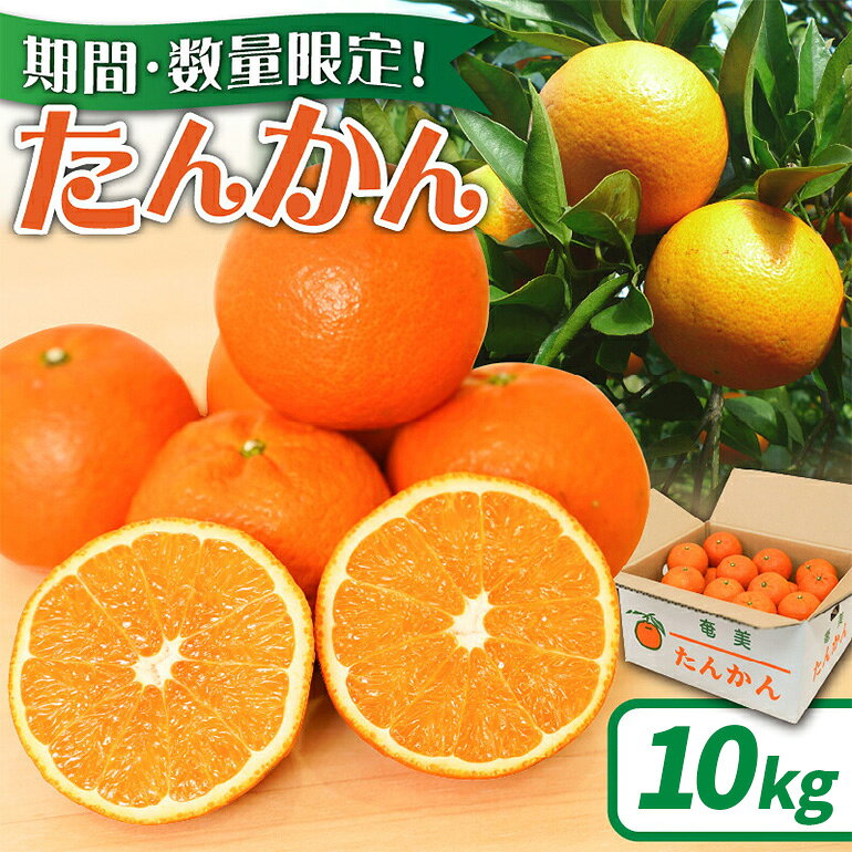 【ふるさと納税】【2027年先行予約】 たんかん 10kg 期間 数量 限定 予約 タンカン 甘い 糖度12度前後 みずみずしい 果汁 キズ有 色むら有 光センサー 柑橘 旬 冬 果物 フルーツ サイズ おまかせ 奄美大島 安田商店 鹿児島 奄美市