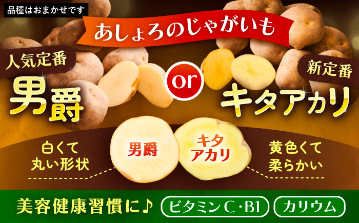 トウモロコシ とうもろこし ジャガイモ じゃがいも 食べ比べ 定期便 北海道