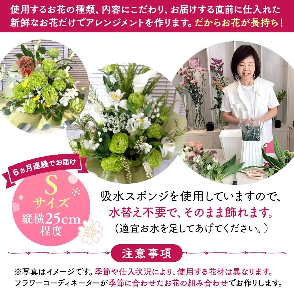 【定期便６ヵ月】月命日生花アレンジ　Sサイズ　６ヵ月連続でお届け【 神奈川県 小田原市フラワー アレンジメント 】