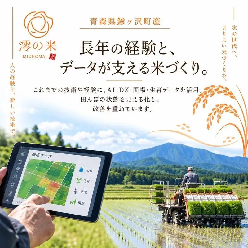 【6回定期便】米 30kg 玄米 まっしぐら イワモトファーム 青森県産 令和8年産 6ヶ月 定期便 新米 健康 栄養 食物繊維 業務用 大容量 ブランド米 直送 農家直送 お取り寄せ お米 こめ コ
