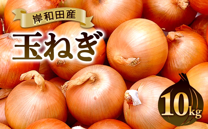 
                  玉ねぎ10kg 野菜 玉葱 たまねぎ 泉州玉ねぎ 旬 旬の味覚 サラダ 料理 岸和田 岸和田市 [№5385-1584]
                