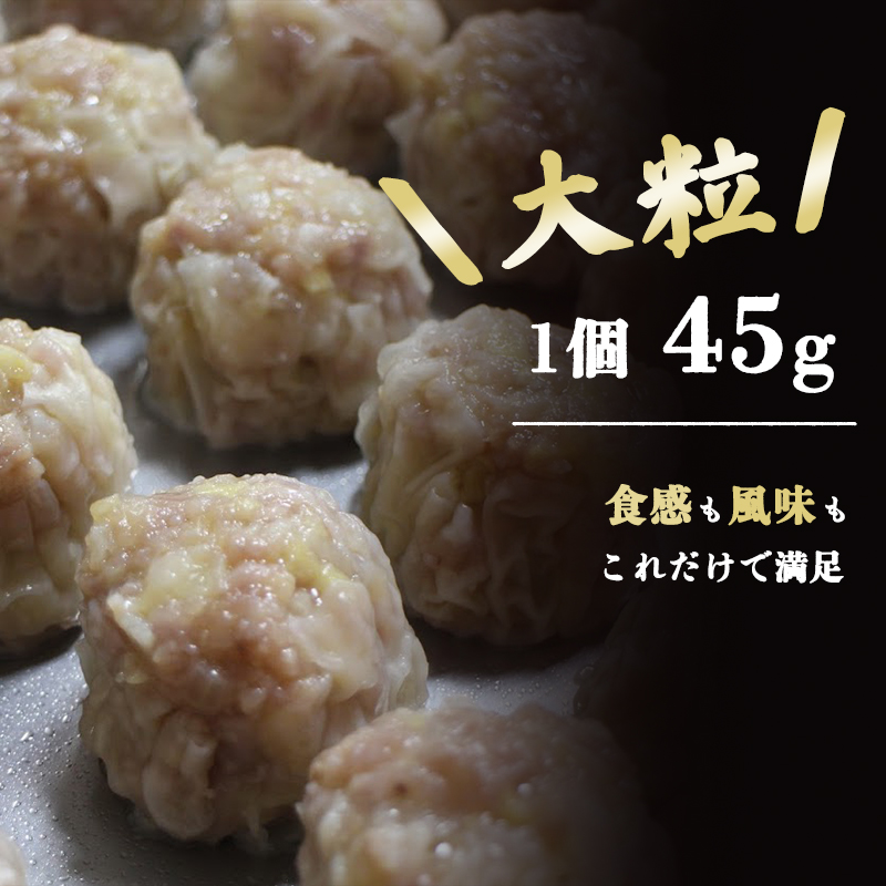 シュウマイ 焼売 みつる食堂 復刻 大粒 ジューシー 16個 1粒45g カレー味 おかず 京都 舞鶴