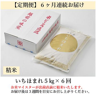 ふるさと納税 あわら市 【毎月定期便】 いちほまれ 精米 5kg全6回 |  | 03
