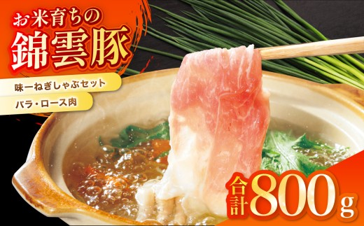 錦雲豚 味一ねぎ しゃぶしゃぶ セット 豚バラ肉・ロース肉(800g) | 小ねぎ 万能ねぎ 青ねぎ かぼすポン酢しょうゆ 詰め合わせ 九州産 国産 送料無料