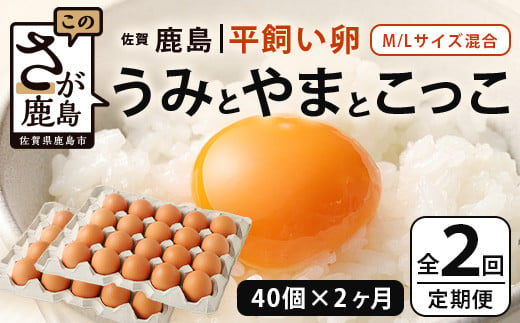 
【定期便 2回】平飼い卵「うみとやまとこっこ」上田養鶏場 たまご40個 × 2ヶ月【合計80個】佐賀県鹿島産 卵 タマゴ D-200
