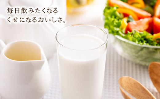 【6回定期便】飲むヨーグルトプレーンタイプ200ml10本【アトリエ・ド・フロマージュ】