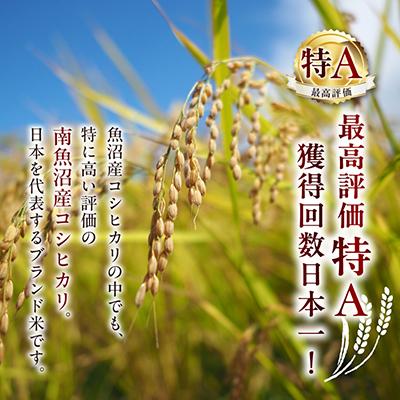 ふるさと納税 南魚沼市 特別栽培米南魚沼産こしひかり「ふんわりパックごはん200g×48個」 |  | 01