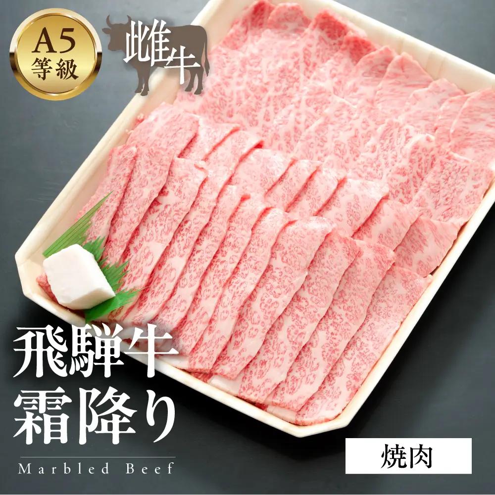 A5等級飛騨牛  霜降り焼肉 500g