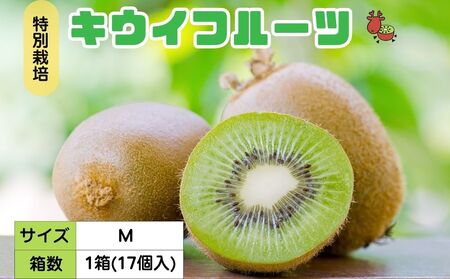＜12月〜3月発送＞プレミアム キウイ フルーツ Mサイズ 17個入 追熟処理済 ／ ふるさと納税 キウイ キウイフルーツ ギフト 栄養 果物 お土産 化学肥料不使用 特別栽培 塩 奈良県 宇陀市 やまとファームJAPAN