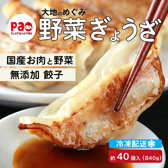 【ふるさと納税】paoの無添加餃子「大地のめぐみ 野菜ぎょうざ」840g(約40個) 餃子 ギョーザ 惣菜 冷凍 中華 点心 おかず おつまみ 国産野菜 058007