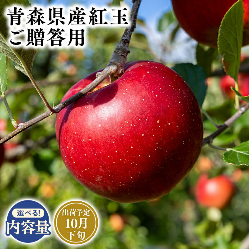 【ふるさと納税】2025年度産 先行予約!≪内容量が選べる≫青森県産 贈答用 紅玉 3kg 5kg 10kg【青森県 平川市 そと川りんご園】10月発送 贈答 青森 青森県産 平川 りんご リンゴ 林檎 くだもの 果物 フルーツ レビューキャンペーン