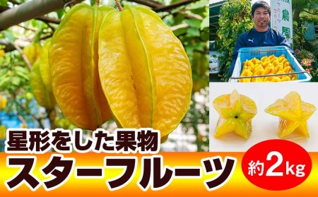 【2026年1月から順次発送】星形をした果物　スターフルーツ　約2kg