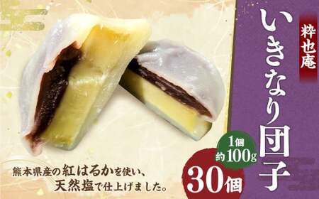 いきなり団子 約100g×30個入 ／ 和菓子 芋 あんこ スイーツ 郷土菓子 冷凍