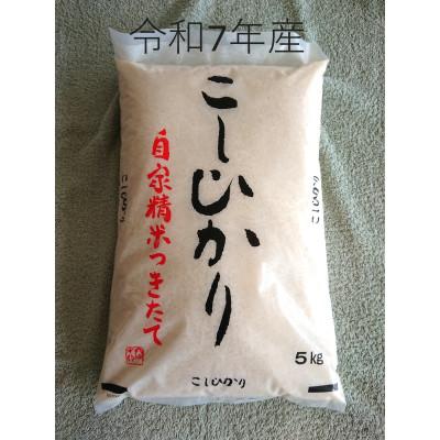 ふるさと納税 鉾田市 厳選　茨城県産コシヒカリ　精米5kg