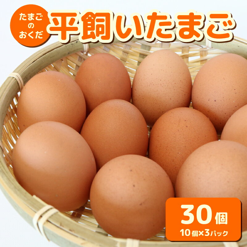 【ふるさと納税】 平飼い卵 30個入り | たまごのおくだ 新鮮 平飼い 卵 たまご 鶏卵 卵黄 たまごかけ ご飯 玉子 タマゴ 玉子焼き たまご焼き すき焼き 鶏 ケーキ 産地直送 国産 高知県 南国市