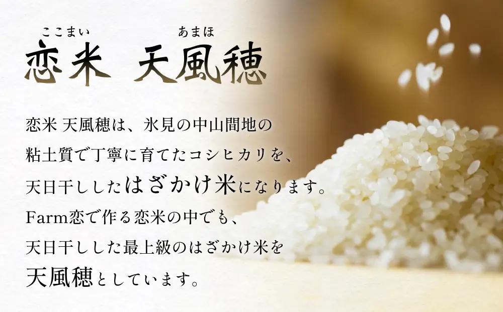 【先行予約】 令和8年産 富山県産 コシヒカリ はざかけ米 10kg 恋米（ここまい） ー天風穂（あまほ）ー ＜2026年10月初旬以降 順次発送予定＞ | 希少 はざかけ はさがけ 天日干し
