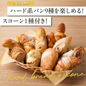 ハード系パン9種＋スコーン1種セット！ 自家培養酵母で焼くハード系パン 合計10点 国産小麦で作るハード系パン 自家製酵母のハード系パン 朝食 軽食 おやつ 自然素材「Boulangerie Fave