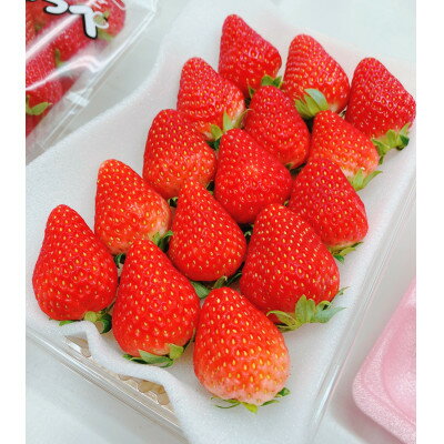 【ふるさと納税】【2026年出荷先行予約】総重量約1080g【掛川市産】いちご・紅ほっぺ DXパック(4パック入)【配送不可地域：離島・北海道・沖縄県・四国・九州】【1635330】
