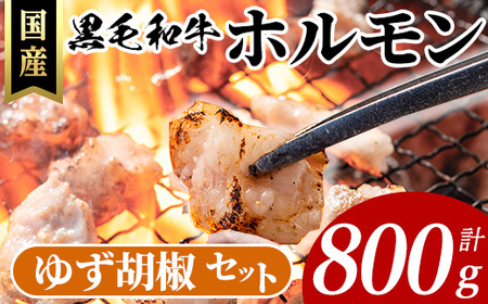国産 黒毛和牛 ホルモン 計800g(400g×2P)&ゆず胡椒(1個) 牛肉 【ナンチク】A994