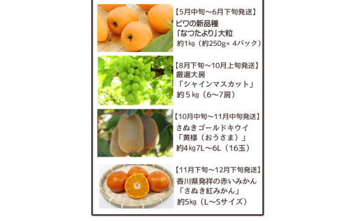 M02-0210_【ふるさと納税】【配送不可地域：北海道・沖縄県・離島】フルーツ王国 みとよ 特選 こだわり 6品 定期便 定期 旬の時期 旬 果物 フルーツ 果実 旬 デザート 食べごろ みかん い