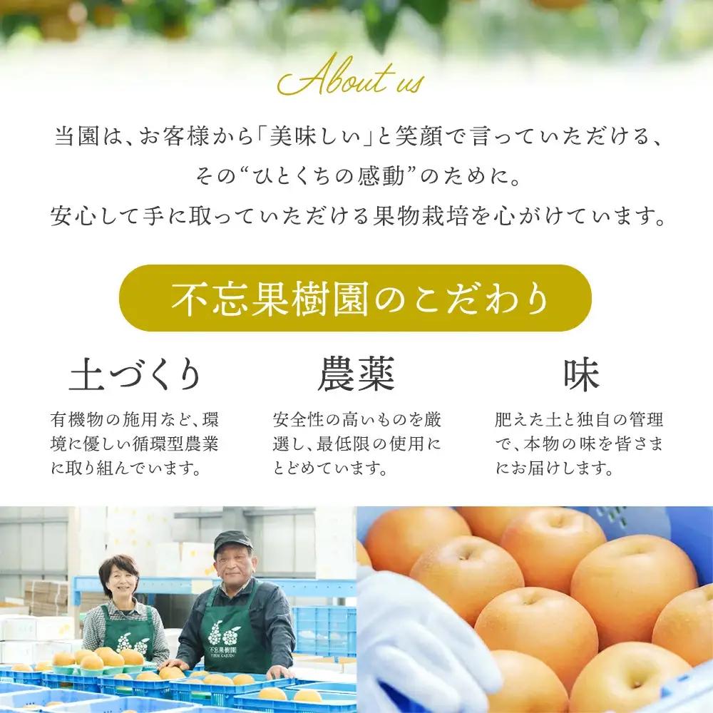 【先行予約】厳選 おいしいラ･フランス約4kg（14～18個） 蔵王産　【04301-0151】