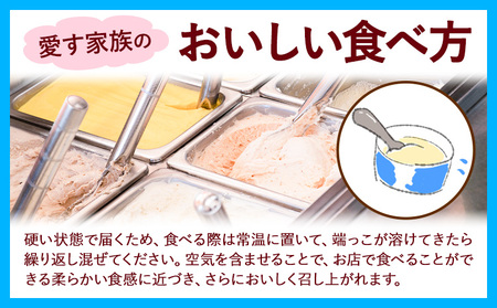 ひまわりの種ジェラート 30個セット　ジェラート アイス