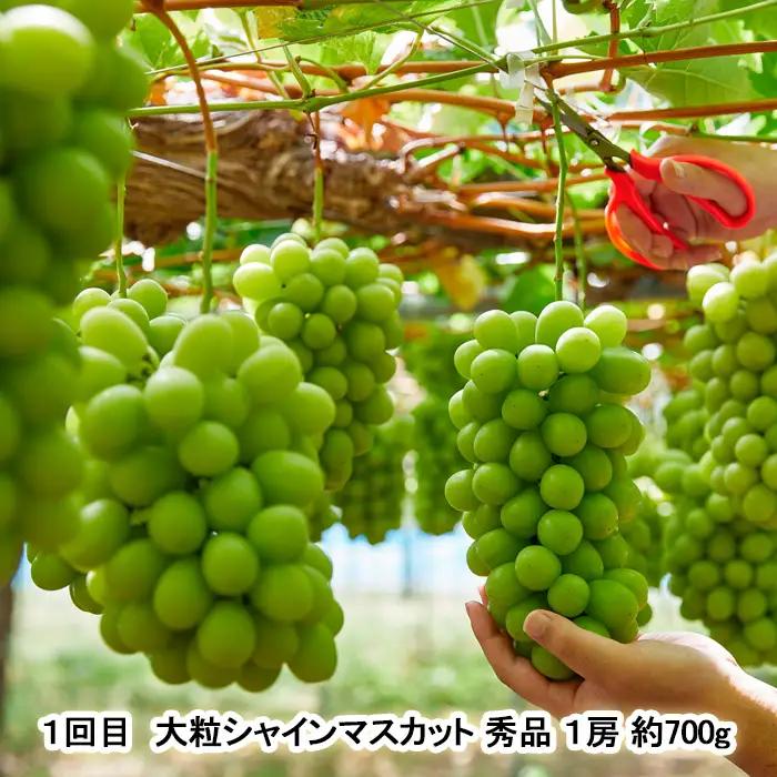 【定期便2回】山形 Juicyフルーツ 秋冬便 【令和8年産先行予約】FU23-925 くだもの 果物 フルーツ 山形 山形県 山形市 2026年産