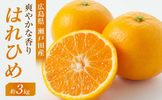 
            爽やかな香り！！ はれひめ ３ｋｇ　＜2025年12月下旬より発送開始＞【みかん 蜜柑 フルーツ 果物 青果 柑橘 尾道市】
          