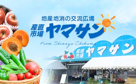 【2026年先行予約】千曲市産 シナノスイート りんご 約3kg 訳あり 家庭用 | 林檎 リンゴ アップル 果物 くだもの フルーツ 3キロ わけあり 訳アリ お取り寄せ 産地直送 長野県産 信州林檎 信州りんご 信州 長野 千曲市