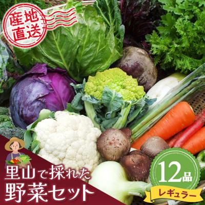 ふるさと納税 神埼市 里山で採れた野菜セットレギュラー 12品 (H078105)