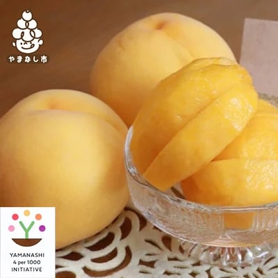 
            ＜2026発送予定＞黄金桃　農家朝どり直送特選桃　4～6玉入り　2kg以上【1178166】
          