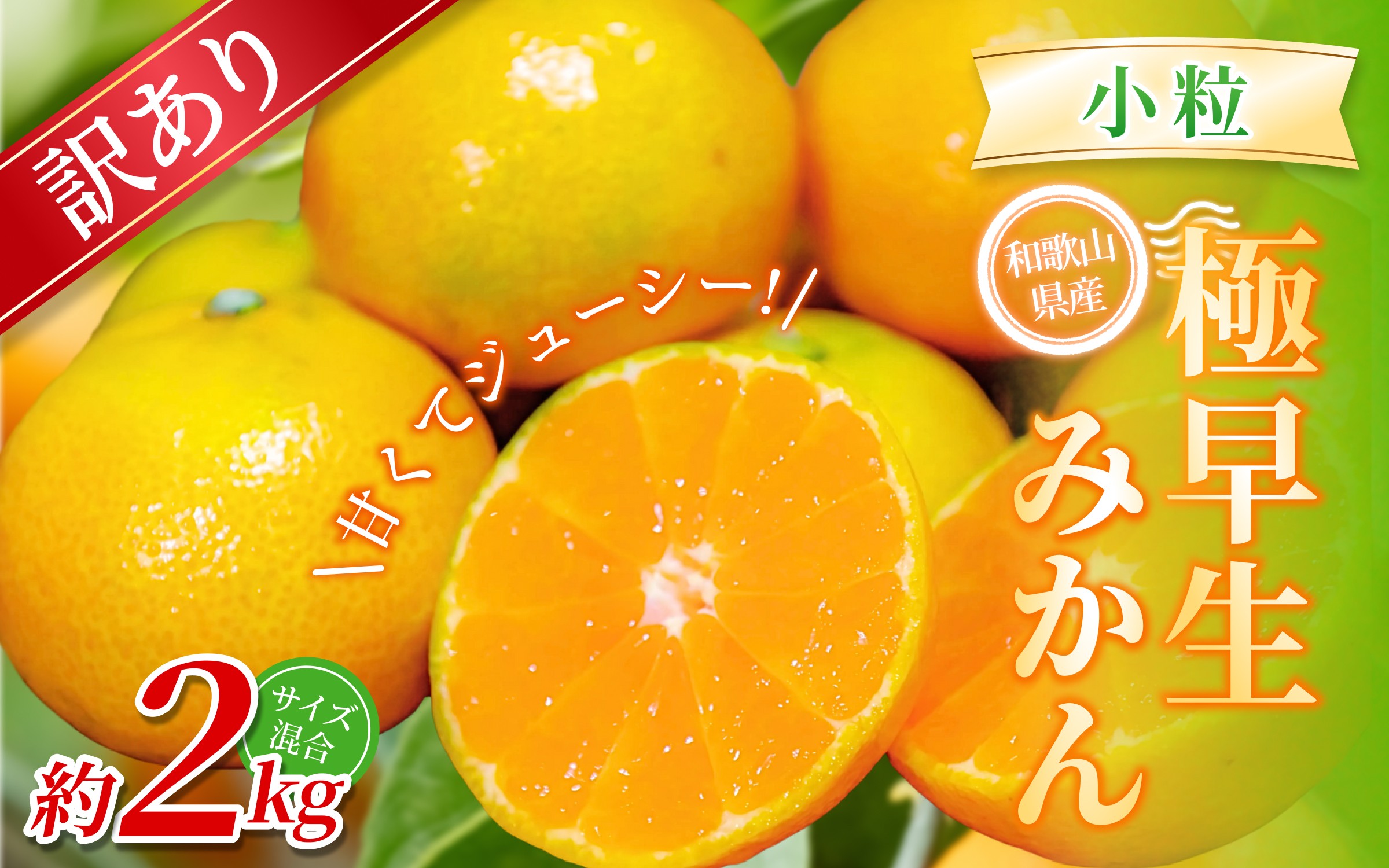 
                  【訳あり・ご家庭用】 森本農園の手選別 極早生小粒みかん 約2kg 和歌山県産【北海道・沖縄・離島配送不可】【2025年10月上旬～下旬頃に順次発送】【BV-mrmt056】
                