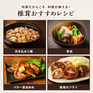 大分県産 乾燥椎茸 90g×2 乾しいたけ | 干し椎茸 干ししいたけ 乾燥しいたけ 干しシイタケ 大分県産 九州産 中津市