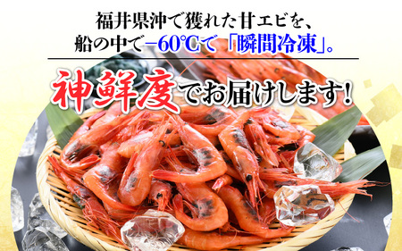 【訳あり】甘えび 約1kg 漁船直送☆船内瞬間冷凍【ワケアリ 海老 えび エビ アマエビ あまえび 甘海老 殻付き 有頭 生食 刺身 冷凍 魚介類 魚貝類 産地直送 坂井市産 福井県産 国産 三国 人