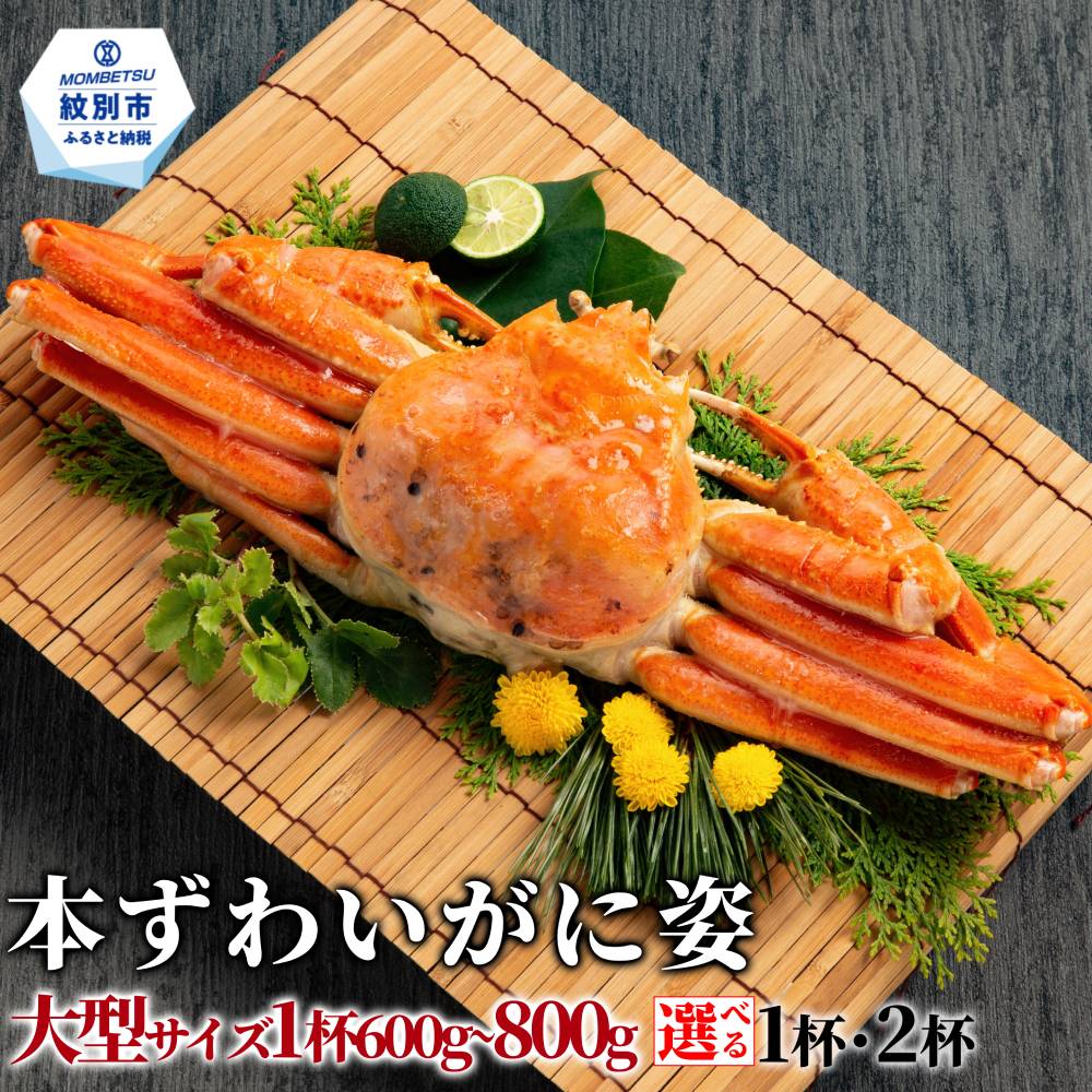 【ふるさと納税】本ずわいがに姿 大型サイズ 約600〜800g | ボイルズワイガニ ボイル ずわいがに ズワイガニ 楚蟹 カニ かに 蟹 かに姿 姿 選べる 紋別市 紋別 アザラシ