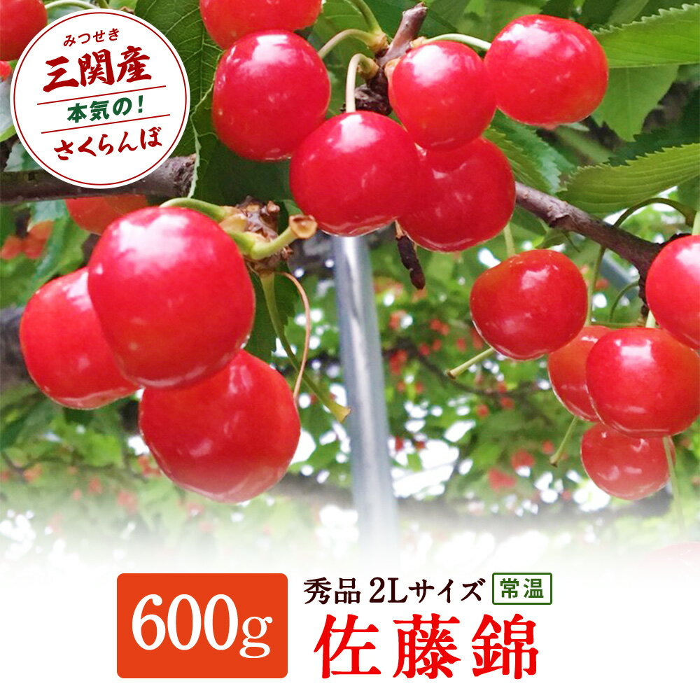 【ふるさと納税】＼朝採れ 産地直送／ R8年度産 佐藤錦 秀 2L 600g 市場価値の高い 三関産 さくらんぼ こだわりの【常温】でお届け 訳あり 送料無料 フルーツ 果物 お取り寄せ 秋田 湯沢市 期間限定 サクランボ 数量限定 【三関ゆめ蔵ぶ直売所】[B8-2601]