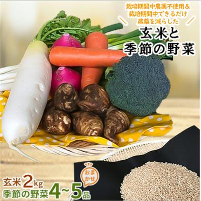 ふるさと納税 行方市 【身体が喜ぶ野菜】　玄米2kgと季節の野菜(おまかせ4〜5品)